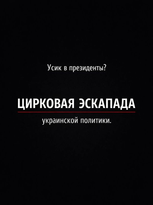 Иван Мезюхо: А вообще было бы даже символично, если бы Александр Усик и впрямь пошёл в президенты Украины