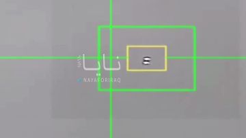 ��� ����� �������� ���, � ������ ��������� ����� �� ������� � ������, ����������������, ��� ���� ������������ ������