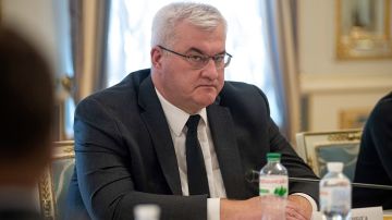 ���� ������ � �������� � ��������� �������� ������� ������� �������