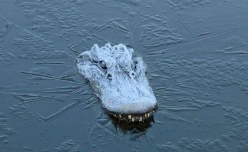 ������� ������: ����� ������. ����� :. -������, ��� ��� �� �����-�� �����������, ������ ��� ��� ��������� �����