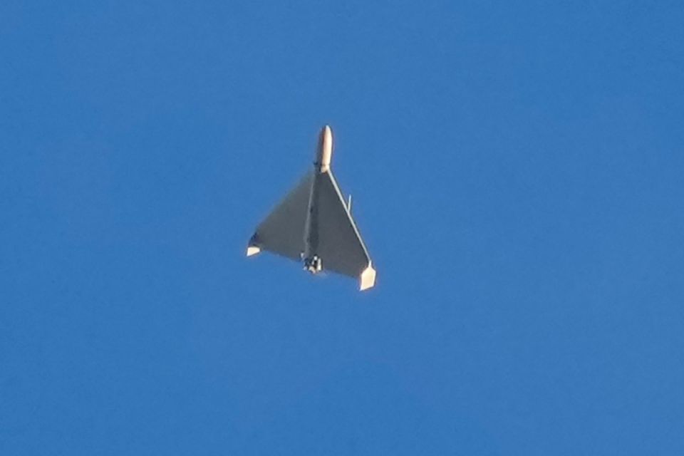 Елена Панина: Украина деятельно поддержит "коалицию Эпштейна"