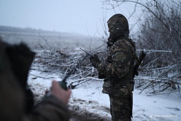 ������������, 8 �����: �� ������ ���������� ����� ������� ���� ���