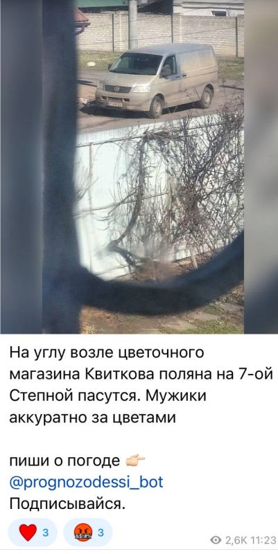 �������� �� ������� ��������, ������� ����� (�� ��� ��� �� ���������� ������������), �� ���� ������ ���������� ������ � ��������� ���������