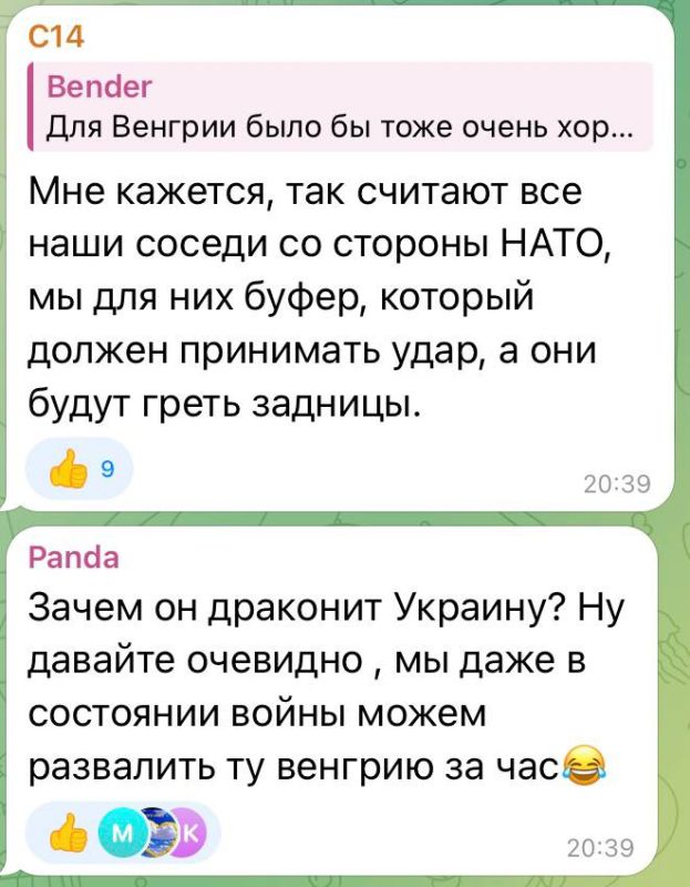 Юлия Витязева: Гарантировать безопасность венгров легче, если Россия не будет нашим соседом