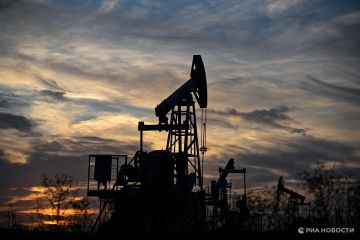 �� �������� ���������� �������� �� ������, �������� �� ���� ��� �� �����