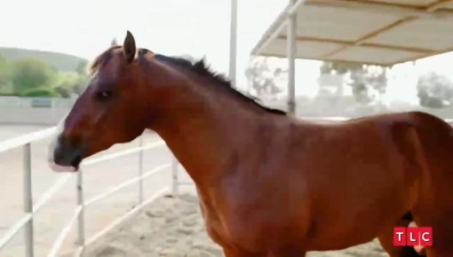 �. ������ ����, ����������! � ���� � ��� ���������� � ������� ����������: