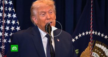 ����� �������� ������� ����� ���� ���� ��������