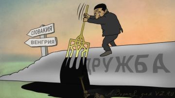 ������ ���������� � ��: �� ��� ��������� �������