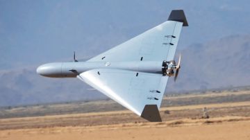 ������� ������������ ���������� ������� ����� �������� ���������� ��������� �� ��� �� �����