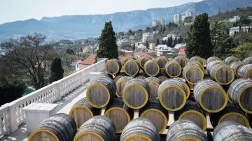 ��������� ���� ������� ������ ��������� "���������" � �����