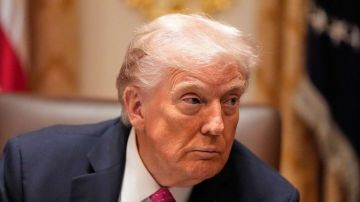 "� ���������� �����": ����� ������ �������� � ������� �� �������