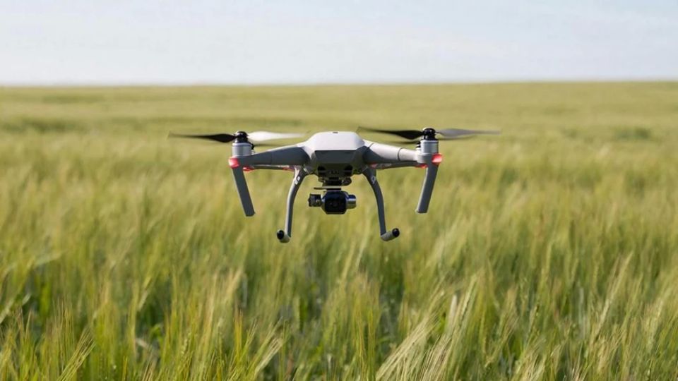 ���� ����� ����������� ���������. ���������� ���� ������� - ��������