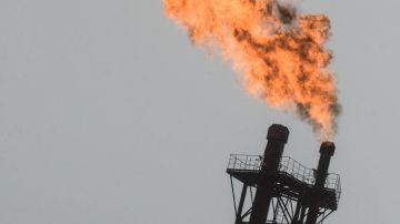 � �������� ����� ������ ���������� ������ �������� ���������� ����� ����� �������� "�������"