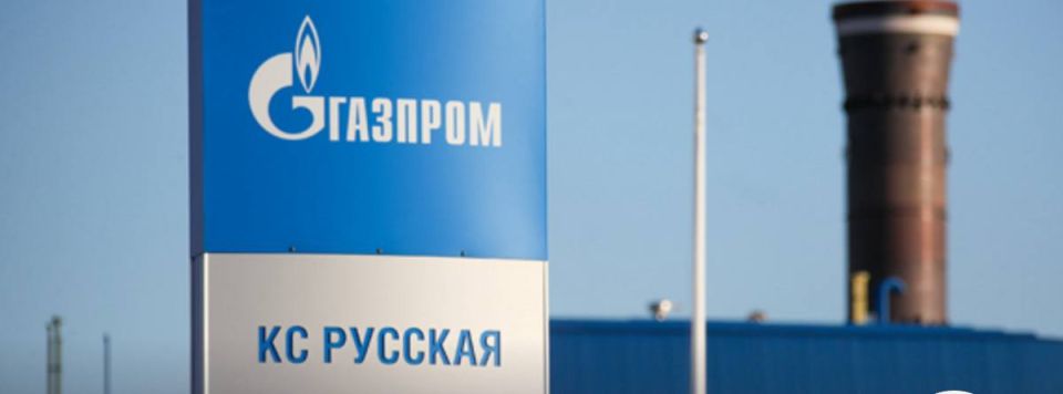 Александр Коц: Украина атакует «Газпром», играя на европейских нервах