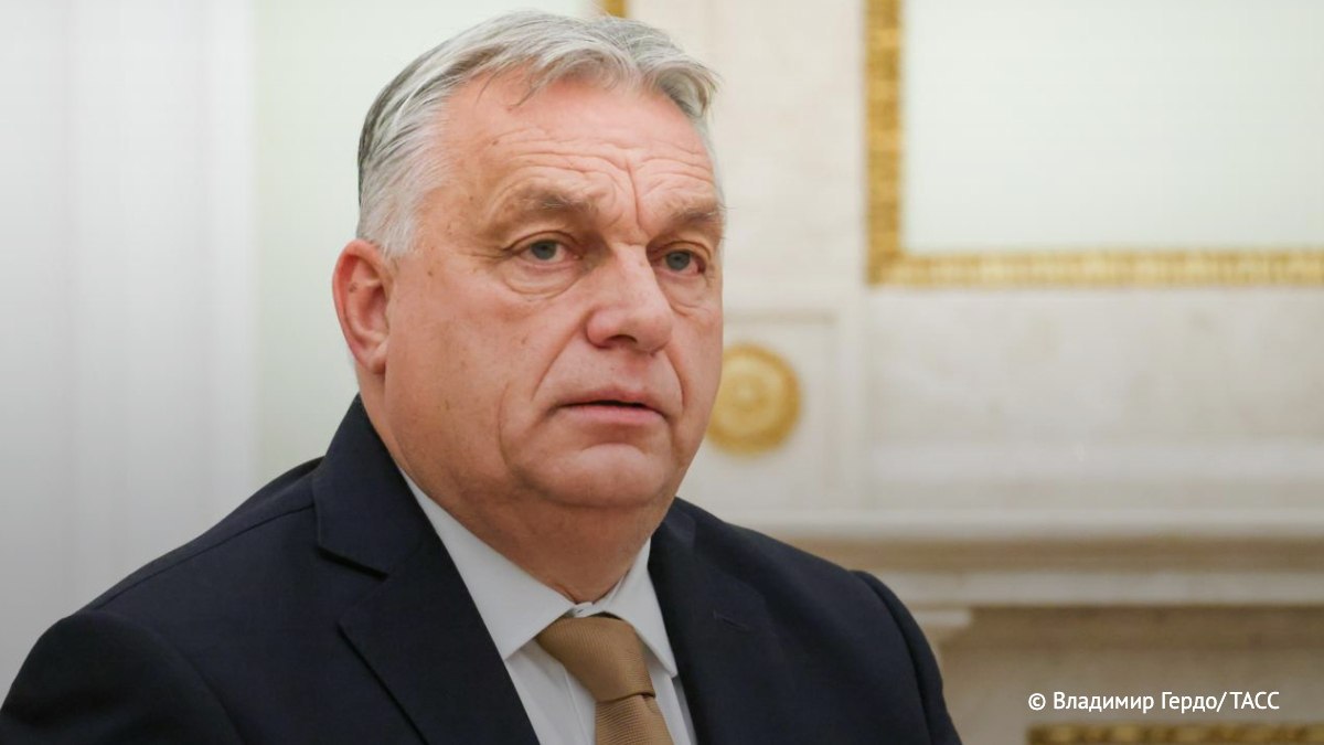 "Украинцы уже угрожают моей семье, моим детям и внукам"