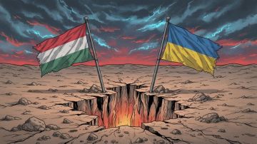 ���������� ������� �����������: ��� ��������� �������� ����������� ����� ����� ������