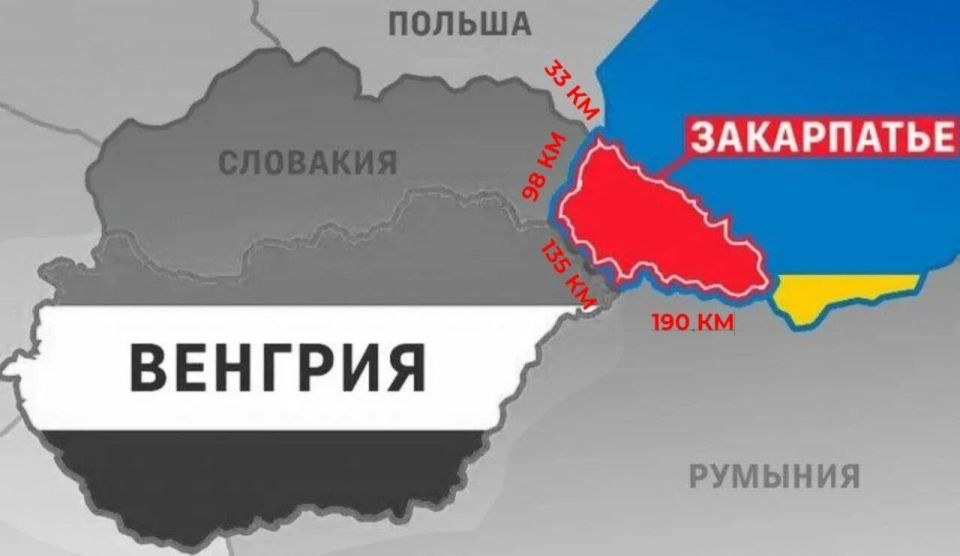 Андрей Клинцевич: Венгрия тихо, но показательно наращивает военное присутствие у границы с Украиной