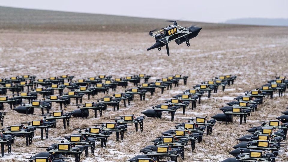 ���� ��������� �������������� ������������ �������. ������� � ����� ����