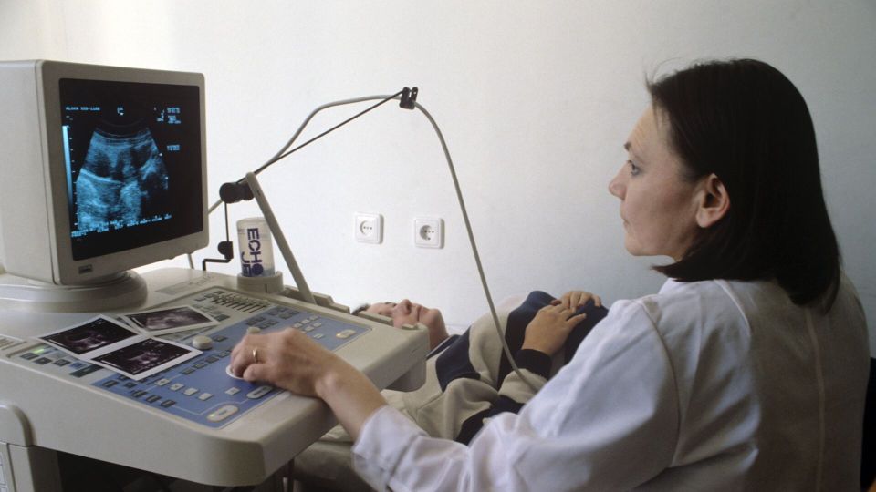 "��� ���� - ��� �������". ��� �������� �������� ������� ������������ � ����������� ������