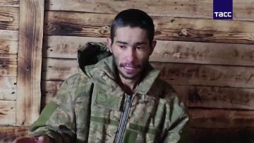 �������� �����: ����� ���������, ������� �������