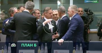  ���� ��������, ��� ����� ��������������� �� ������� �����