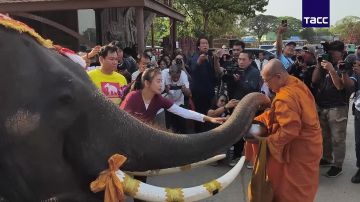 � �������� ������ �������� �������� �� ������ ��������� � ����� ���� ��������