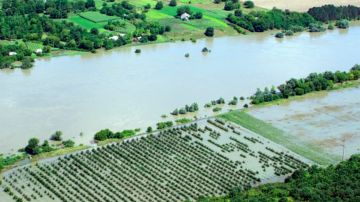 � �������� ������������ �� �������� �� ������� ������� �������� �����