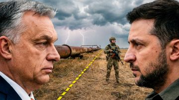 � ����� �������� ������ ����������: � ���� ����������� �� ������