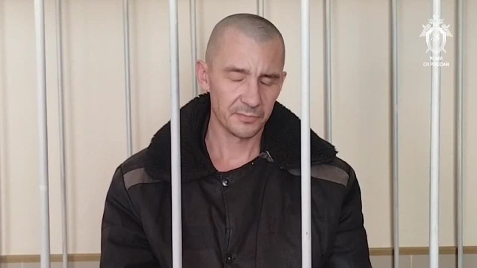 �������� ��������� 5 ���������� ��������������, ������������� � ���������������� ������������ �� ���������� ���������� ���������