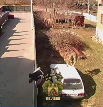 #������������_���������: �������� �� ��� ���������� ����������� ��������