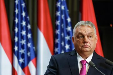 "�� ����� ��������". ����� ������ ������ ��������� �� �������