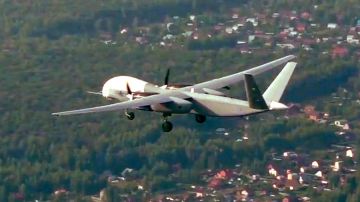 ���������� ���� �������: �������� ������� ���������� ������� ������ ���������