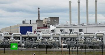 �������: ������� ��������� ����������� ������� �� ������������ ��������