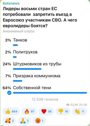 Александр Коц: 64 процента подписчиков считают, что европейцы боятся даже собственной тени