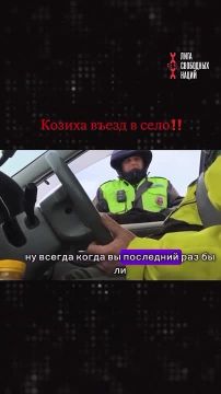 ������ �������: � ������ ���� �������� ���?