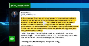 ����� ������� ������ ������������ ���� �� ��, ��� �Ԡ �� ���� �������