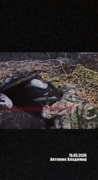 Александр Сладков: Офицер ССО ВСУ Владимир Антонюк, комментарии ситуации в зоне СВО из российского плена