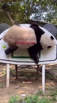 �. ����������� � ������������� ������� "������� ������ � �� 2014 -