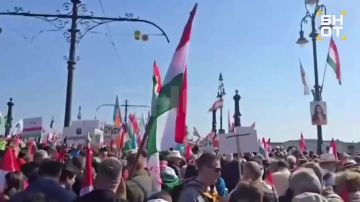 «Марш мира» в Будапеште: десятки тысяч человек вышли под лозунгом «хватит кормить Украину»