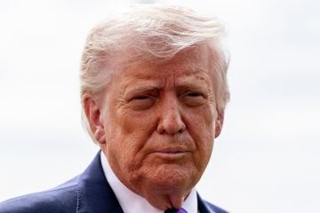 Европейские политики попытаются надавить на Трампа, заявил политолог