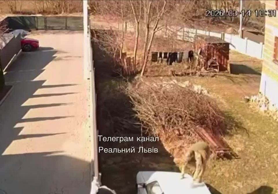 ������� �� ����������� �� ����� ���� ������