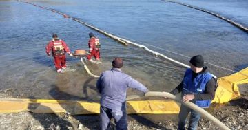 Румынка Санду наслаждается СВО: любой косяк можно списать на Россию