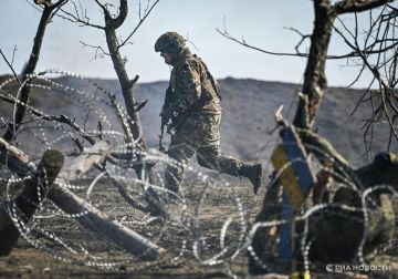 ������������, 16 �����: ��� �� ����� �������� ����� 1230 ��������������