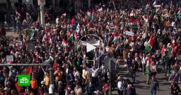 «Мы не будем колонией Украины»: венгры ответили на хамство и шантаж Зеленского