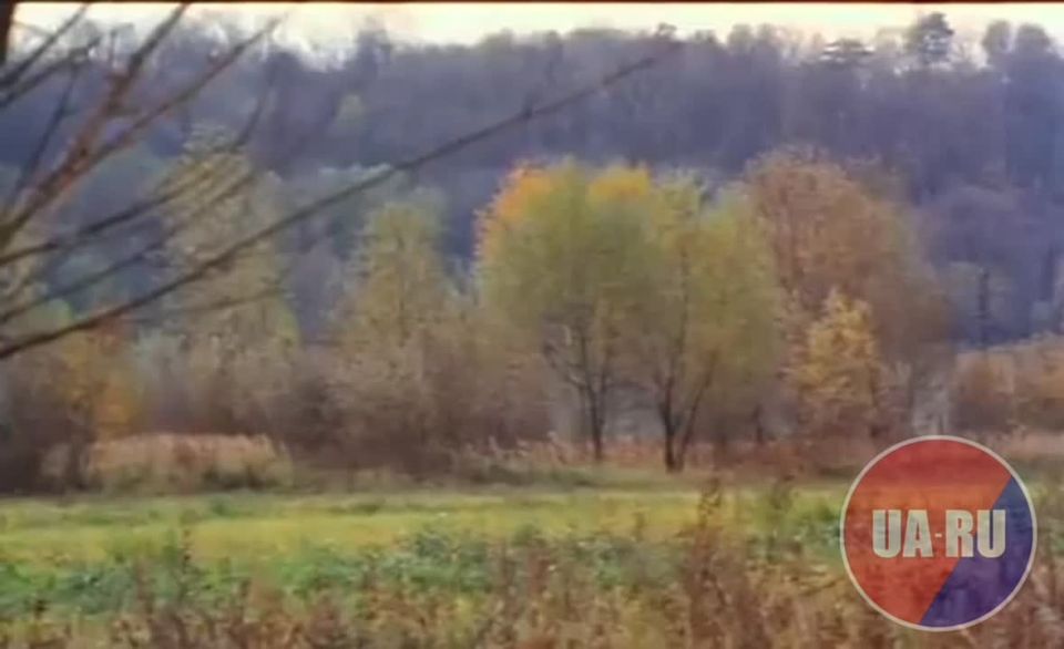 ВСУ сорвали российскую стратегичную наступательную операцию, запланированную на март, — Зеленский