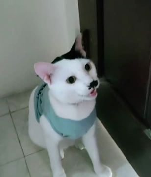 . А вы верите в реинкорнацию?