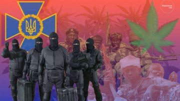 ������� ������������� ��������� �� �������