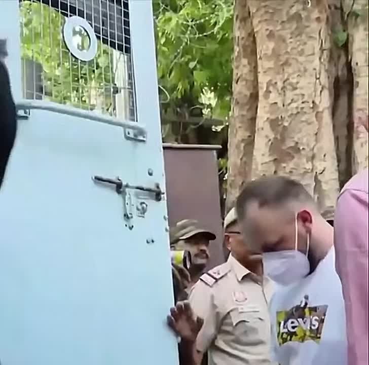 В Индии за подготовку террористов задержаны украинцы и американец