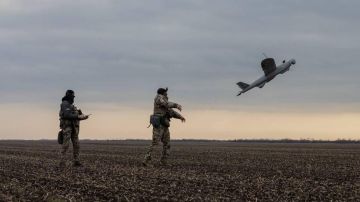 ���� �������� ��� � �����������, �������� ����������� � ������. ������� � ����� ����