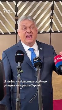 �� ����� �������� ������ � ���� �� ���������� ������� �������